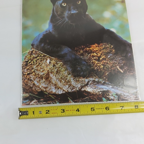 - Bruce lakofka, Tom Bakefield posters wolf panther 8x10 3 prints lot - Picture 5 of 14